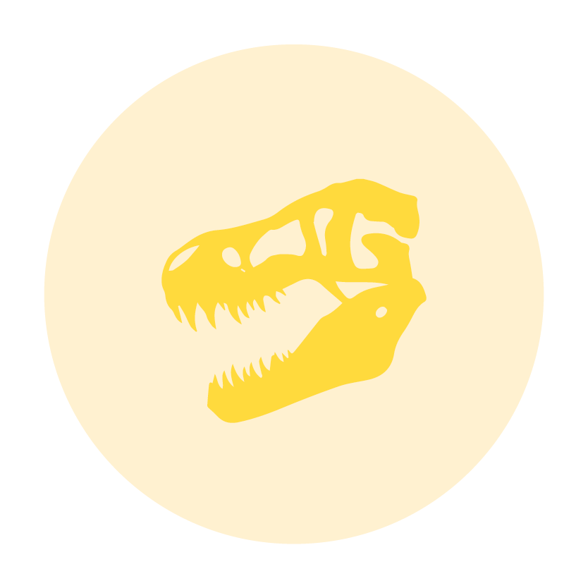 DINO-DIG