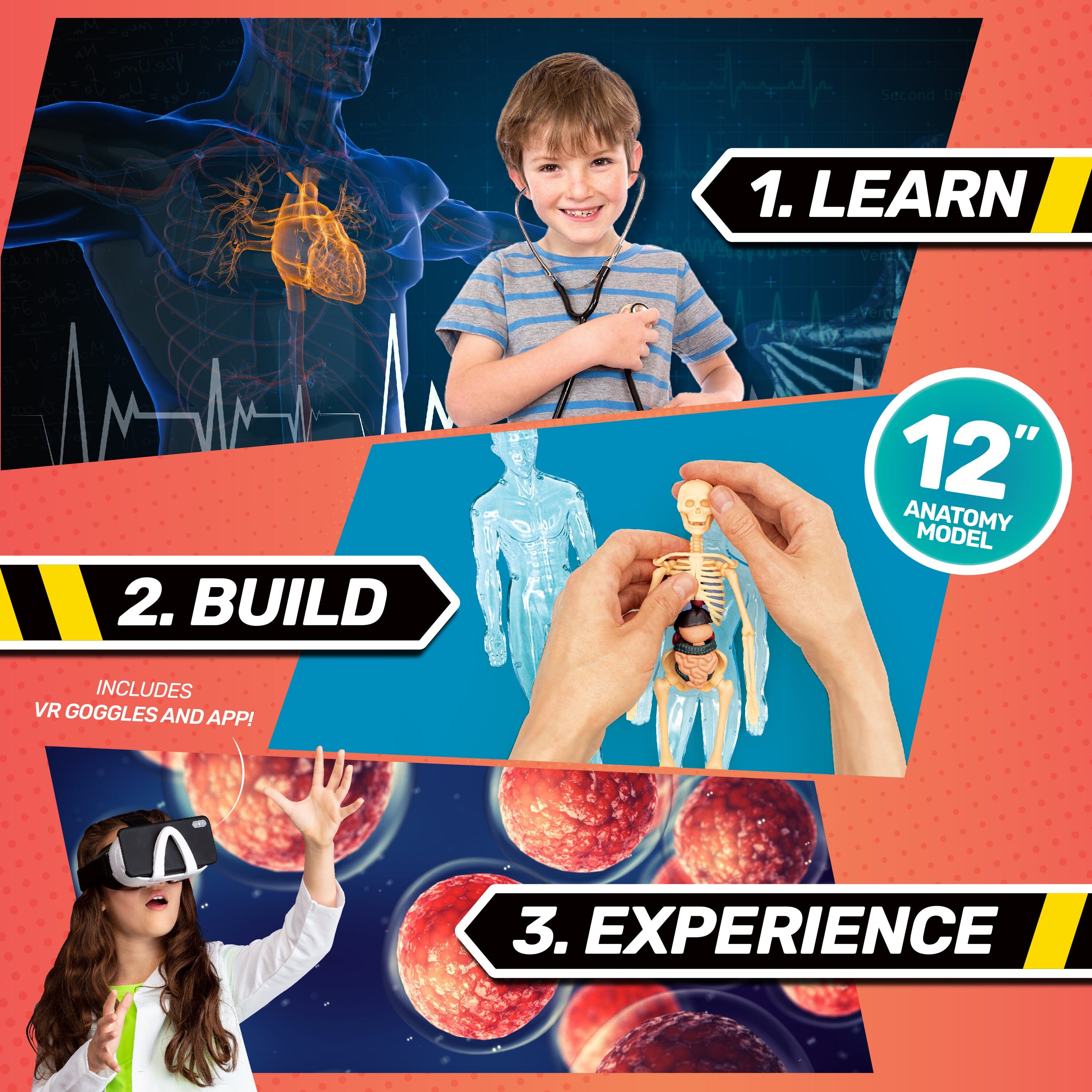 Bill Nye's BODY LAB VR Activity Set Abacus Brands 