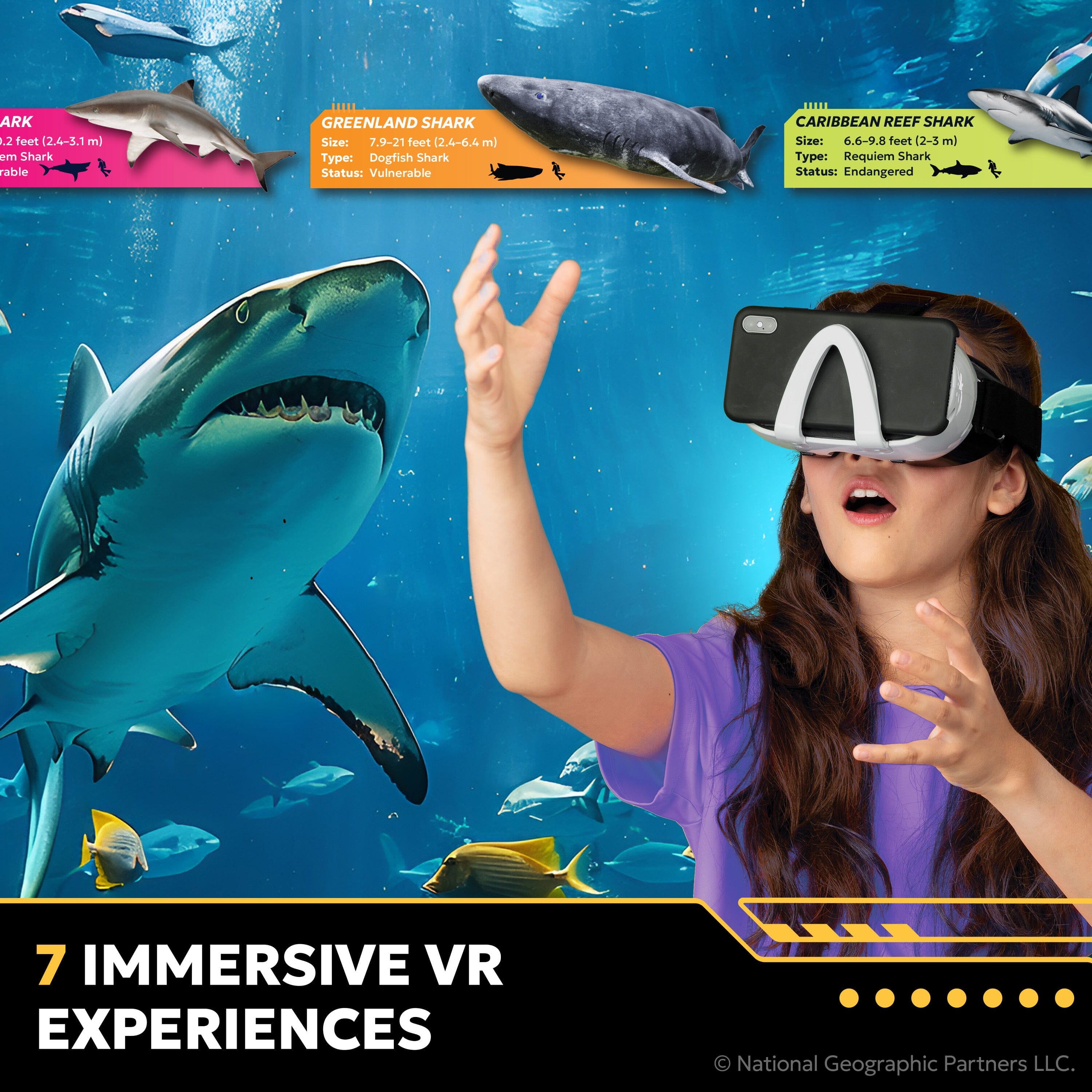 National Geographic Virtual Reality - Sharks Abacus Brands | Virtual Reality Educational Toys and Science Kits for Kids 