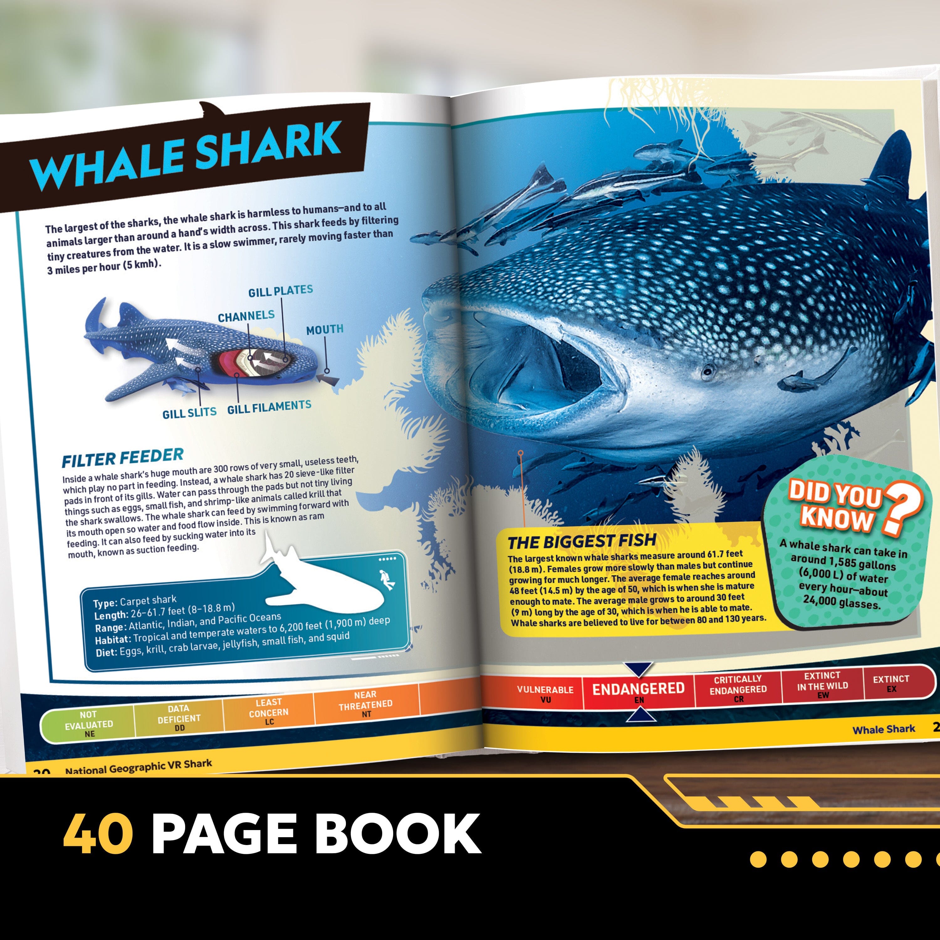 National Geographic Virtual Reality - Sharks Abacus Brands | Virtual Reality Educational Toys and Science Kits for Kids 