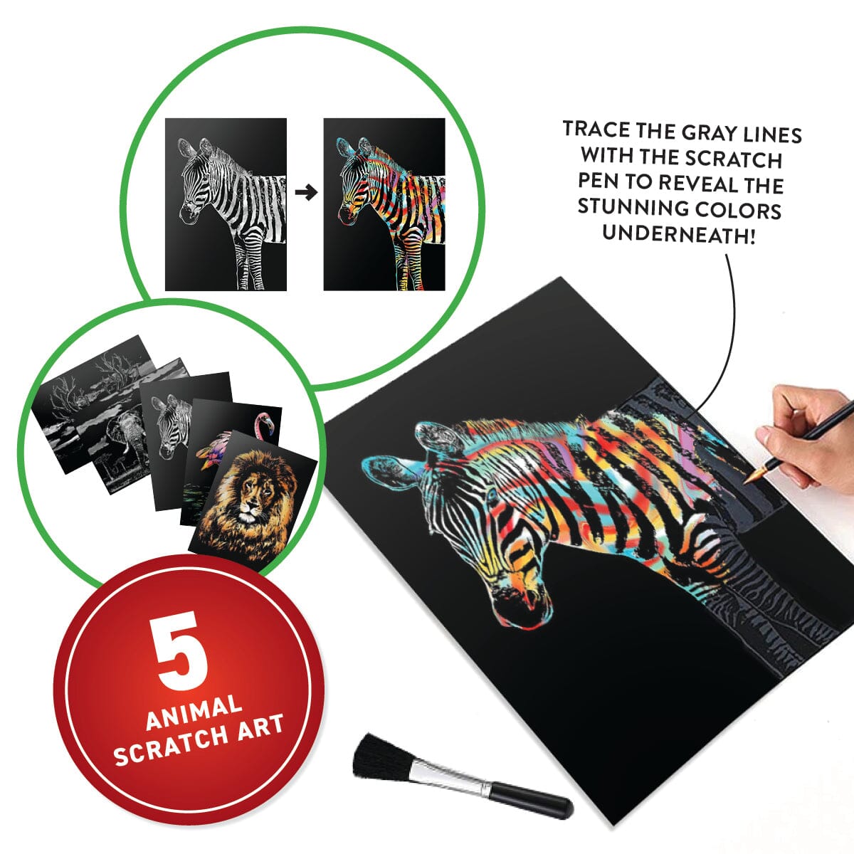 Virtual Reality Animals Discovery Gift Set w/ DK Book Abacus Brands | Virtual Reality Educational Toys and Science Kits for Kids 
