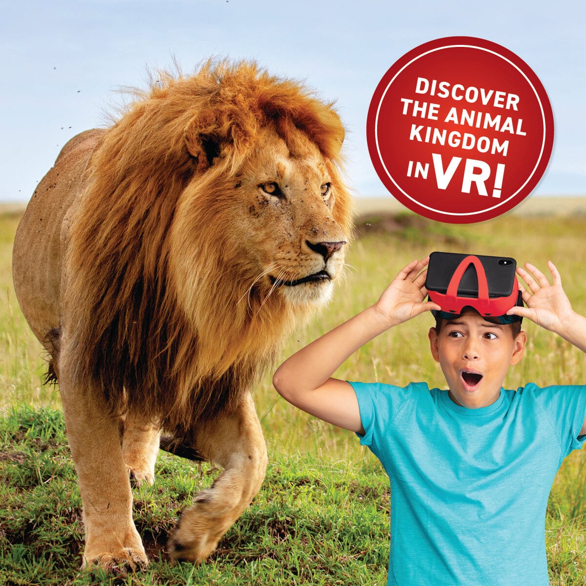 Virtual Reality Animals Discovery Gift Set w/ DK Book Abacus Brands | Virtual Reality Educational Toys and Science Kits for Kids 