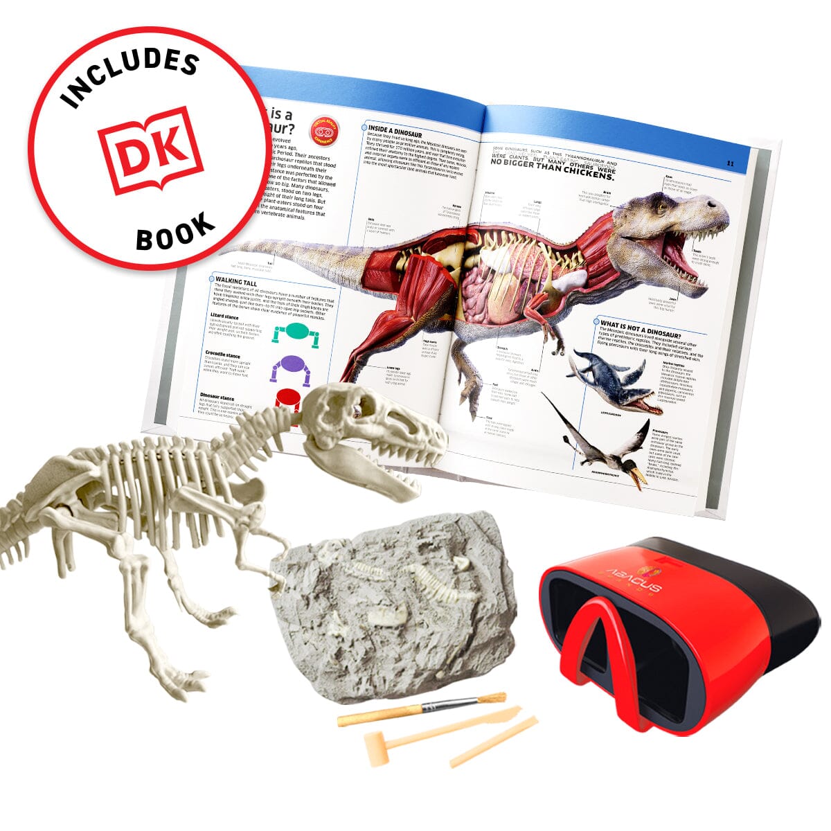 Virtual Reality Discovery Gift Set w/ DK Book - Dinosaurs! Abacus Brands | Virtual Reality Educational Toys and Science Kits for Kids 