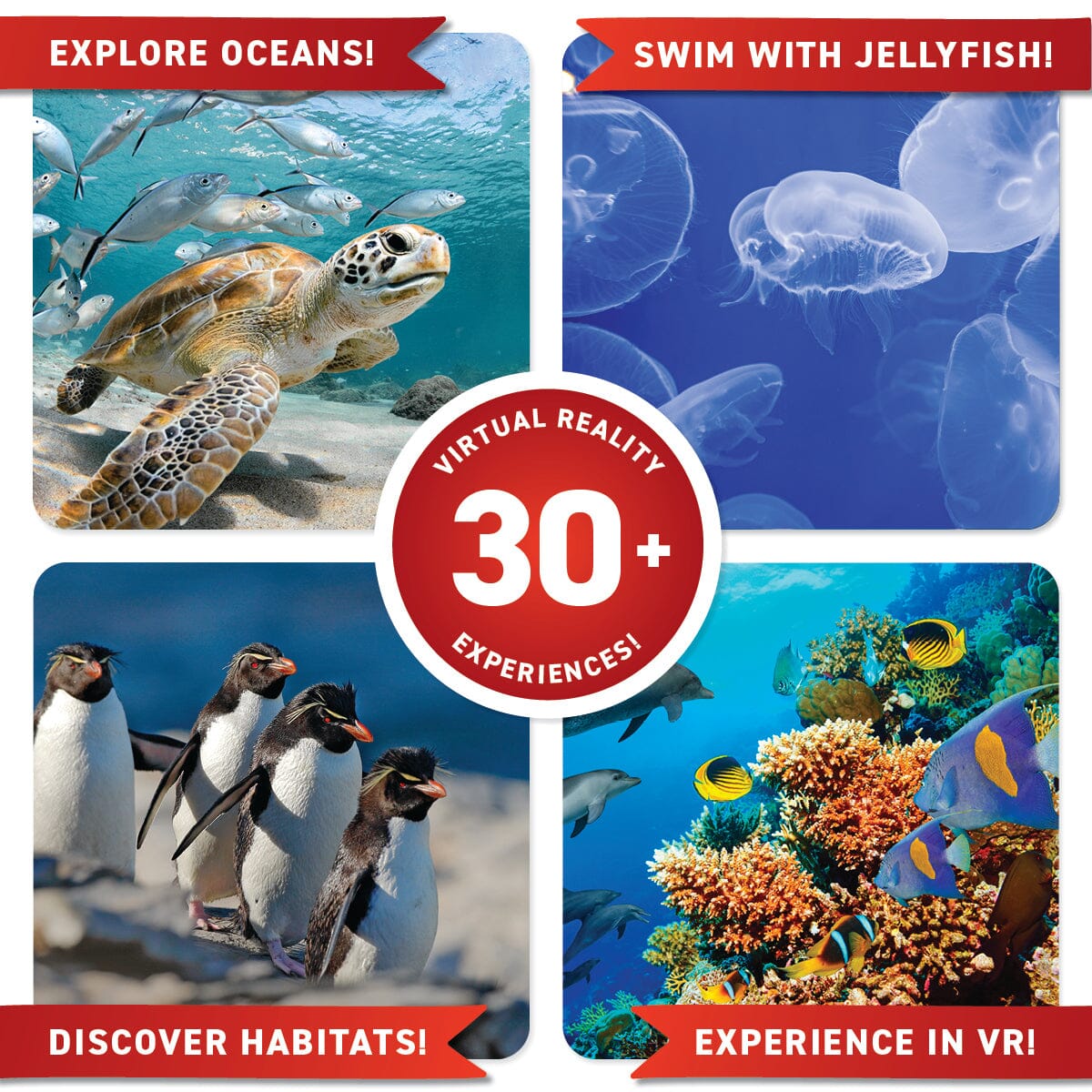 Virtual Reality Discovery Gift Set w/ DK Book - Oceans! Abacus Brands | Virtual Reality Educational Toys and Science Kits for Kids 