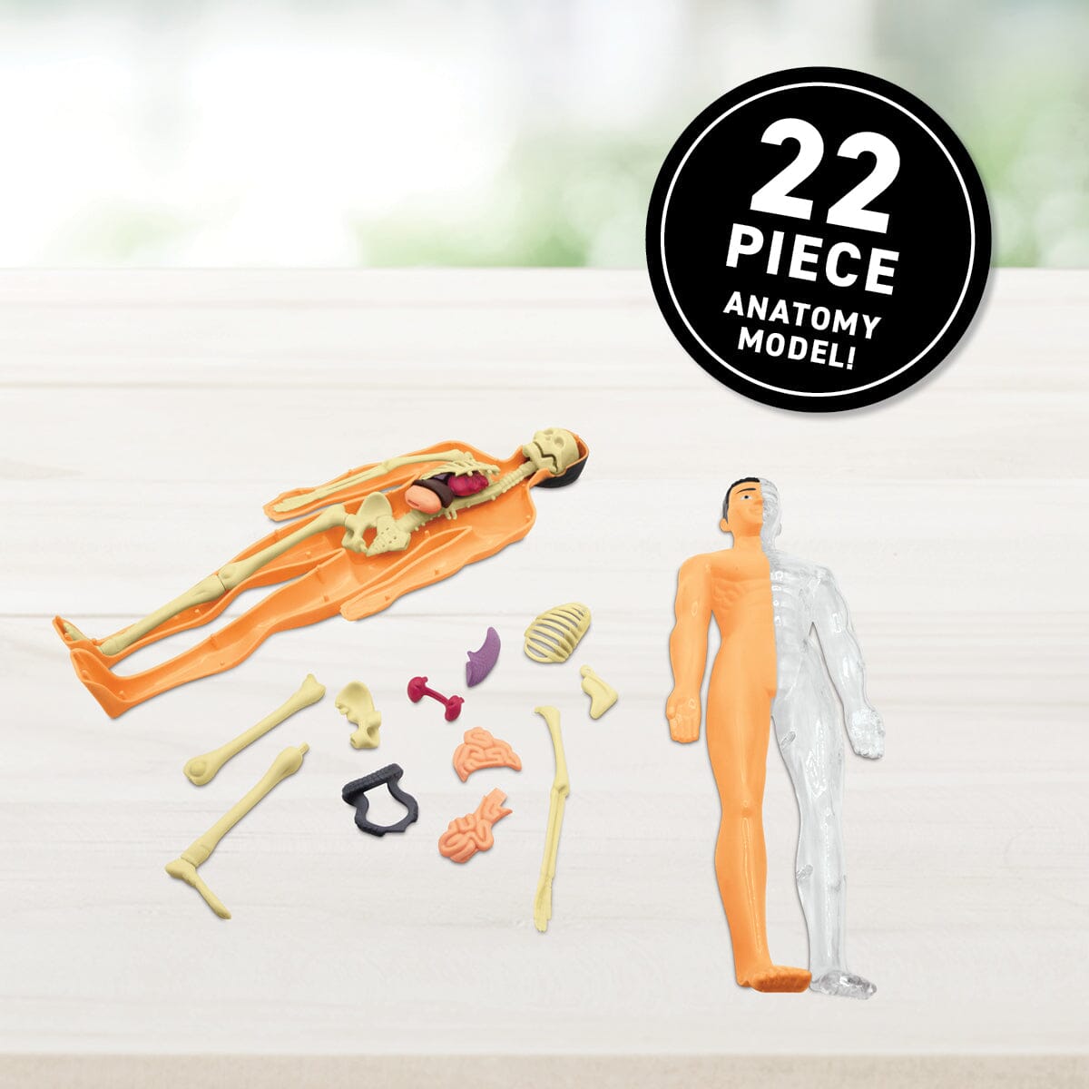 Virtual Reality Human Body Discovery Gift Set w/ DK Book Abacus Brands | Virtual Reality Educational Toys and Science Kits for Kids 