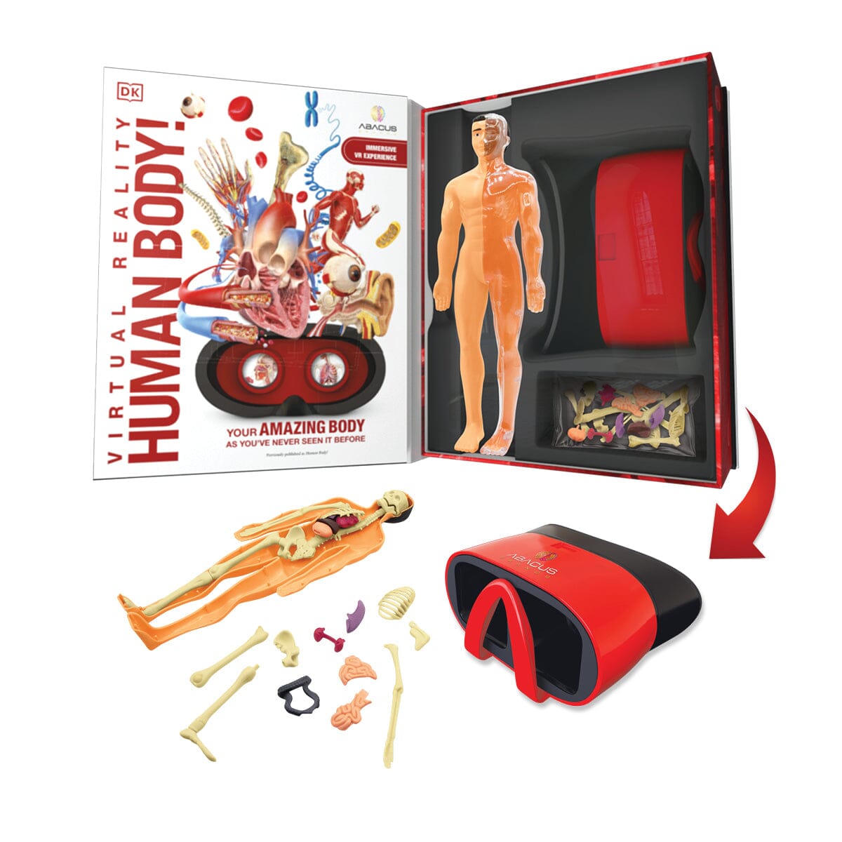 Virtual Reality Human Body Discovery Gift Set w/ DK Book Abacus Brands | Virtual Reality Educational Toys and Science Kits for Kids 
